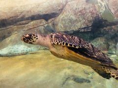 -福州罗源湾海洋世界旅游区