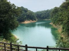-广州市流溪河国家森林公园
