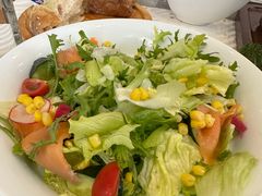 三文鱼蔬菜沙拉-花园饭店-西餐厅