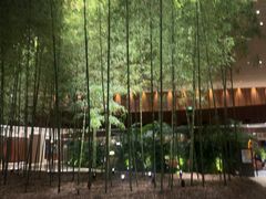 -北京望京凯悦酒店The Lounge大堂酒廊