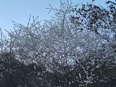 -终南山南五台景区