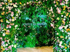 -JW酒廊 JW Lounge(上海鲁能JW万豪侯爵酒店)