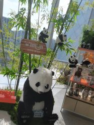 点击看大图 -IMON·HANSA潮玩玩偶毛绒玩具(通州万象汇店)