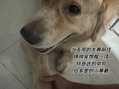 -瑞虹新天地月亮湾