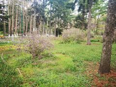 -黑龙江省森林植物园
