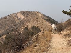 -乌素图国家森林公园