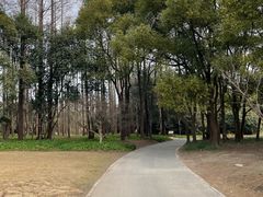 -上海滨江森林公园