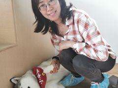 -Husky Go! 哈士奇体验馆·宠物咖啡厅狗咖