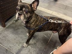 -脑馋粉儿(三里屯店)