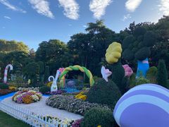 -上海共青森林公园