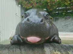 -大聖·精酿啤酒&火烧鸡(市南路店)