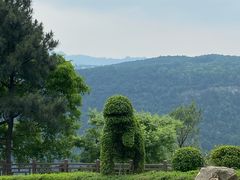 -铁山坪森林公园