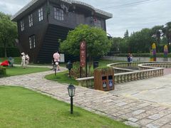 -金山农民画村-枫泾波兰倒置屋