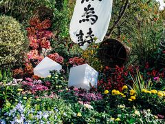 -南山植物园