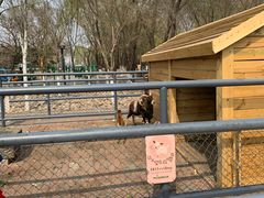 -长白岛森林公园