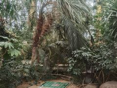 -郑州银基黄帝宫御温泉