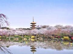 -东湖生态旅游风景区