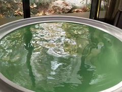 -春晖园度假酒店温泉