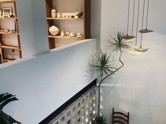 -自由生长植物工作室(深港花卉中心店)