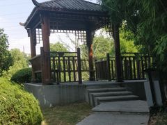 -菊花台公园