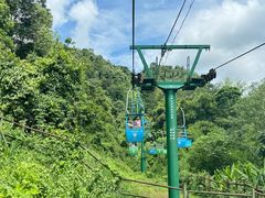 -野象谷景区