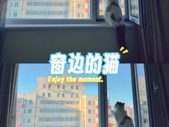 -云之南(八里庄店)