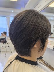 -镁连社·美联社