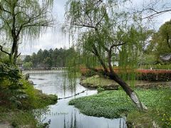 -范蠡湖公园