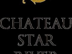 酒店LOGO-上海浦东星河湾酒店