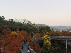 -福道