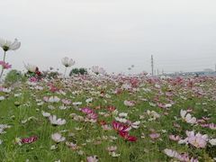 -南京医科大学(江宁校区)