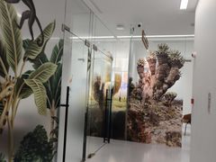 -极简口腔(总院)
