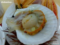 葱油元贝-海岛渔村大酒店(云霄路店)