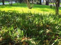 -唐城墙遗址公园