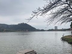 -顺峰山公园