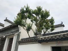 -武汉紫薇都市田园