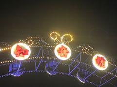 -武汉知音号