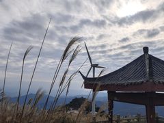 -东白山