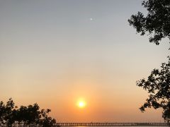 -宝安西湾红树林湿地公园