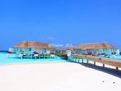 -中央格兰德岛温泉度假酒店 - 全包