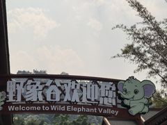 -野象谷景区