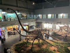 -自贡恐龙博物馆