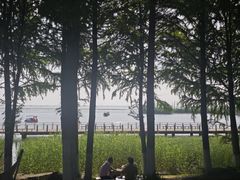 -滆湖低碳生态公园