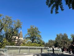 -北京石刻艺术博物馆(五塔寺)