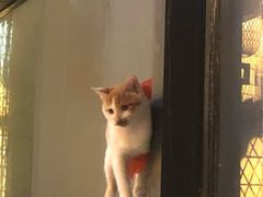 -映像徐州(滨湖店)