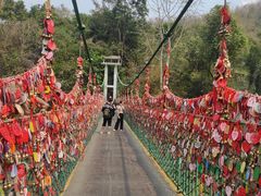 -西双版纳原始森林公园