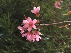 -洛龙公园