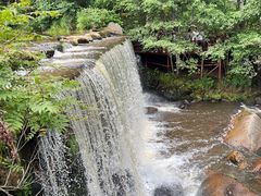 -汤旺河林海奇石景区