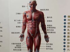 -通透堂中医·精准推拿(旗舰店)