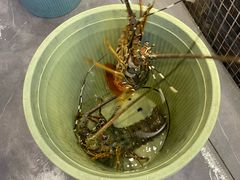 -欢乐海岸美食联盟